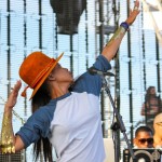 Erykah Badu and the Cannabinoids